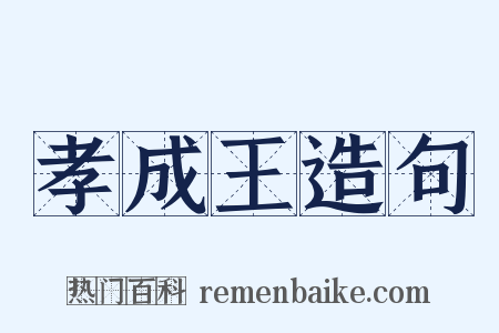 孝成王造句是什么意思的图片